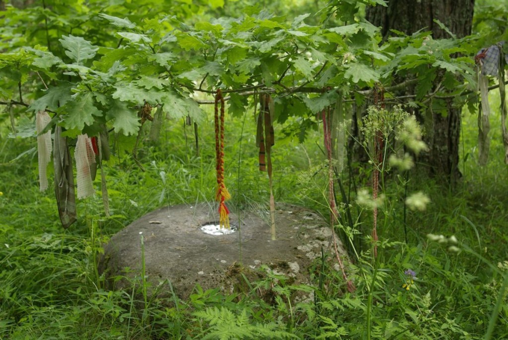 Tammealuse, Foto: Ain Raal