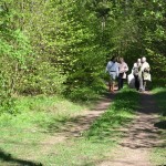 11257892_354317761430942_4780891187835453587_o