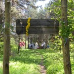 11329751_354317751430943_1158317448837895974_n