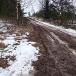 Tõrma Hiiemäe raie 04.2018, Tiit Kaasik