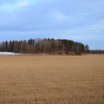 Tõrma Hiiemägi, vaade maanteelt, 04.2018, Jüri Lainevoog