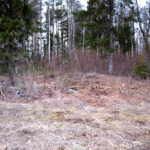 Tõrma Hiiemäe raie 04.2018, Jüri Lainevoog