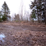 Tõrma Hiiemäe raie 04.2018, Jüri Lainevoog