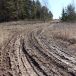 Tõrma Hiiemägi 04.2018, Tiit Kaasik