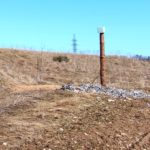 Metsloomade söötmiskoht - soolapost, hunnik kalu ja vilja - Tõrma Hiiemäel 04.2018, Tiit Kaasik