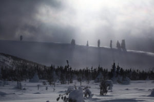 Man-Pupu-Nyori kivisambad. Natalia Onishenko. Uurali rahvaste auhind