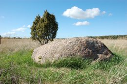 Kunnati kivi Kunnati kivi