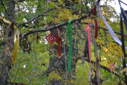 Jõelähtme kihelkonna Jägala küla Pärnamäe hiis