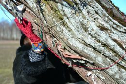 Kata Hiiekadakas. Jõudu andev puudutus.